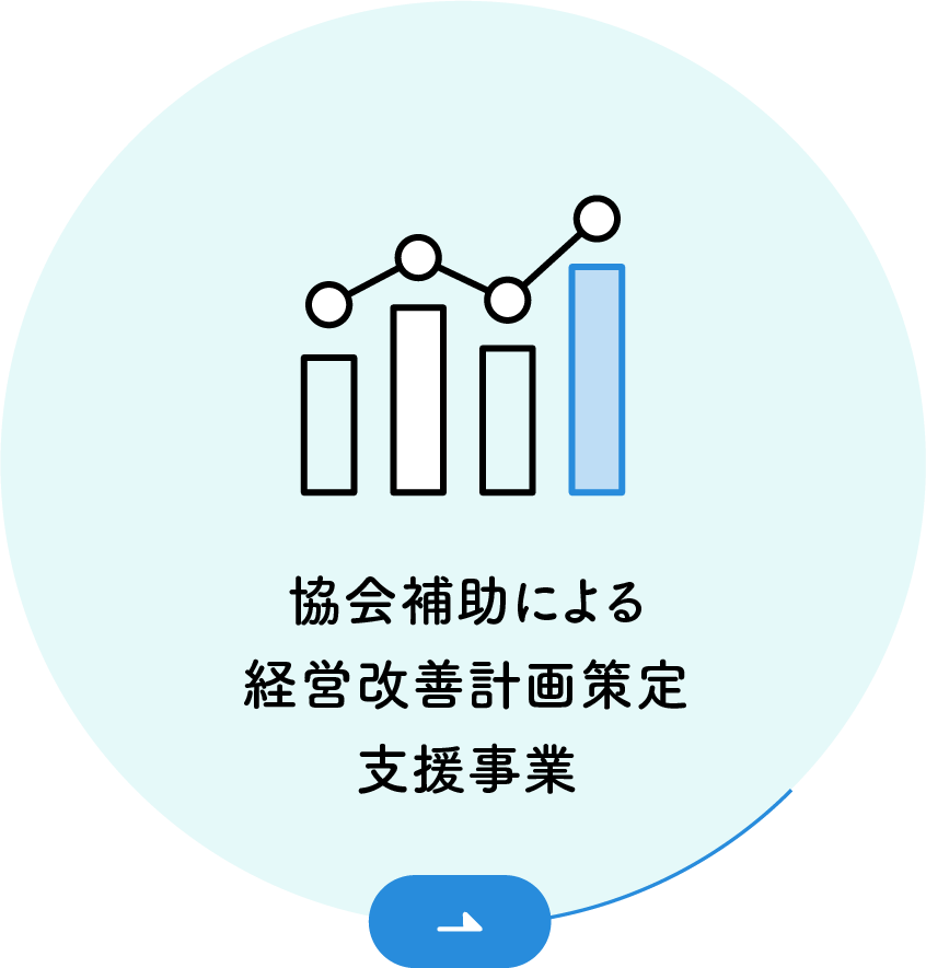 協会補助による経営改善計画策定支援事業